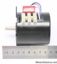 220V 5Rpm AC Synchronous Motor - Thumbnail