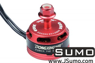  - DX2205 2600KV CW/CCW Racing Brushless Motor Set (1)