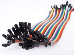 Female - Female Jumper Cable - 300 mm - 30cm 40 Pin - Thumbnail